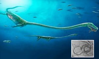 Phát hiện hóa thạch của loài sinh vật bí ẩn, cho thấy con rồng là có thật từ cổ xưa?