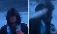 Phóng viên bị con cá lao trúng mặt khi làm tin bão, netizen vừa thương vừa buồn cười