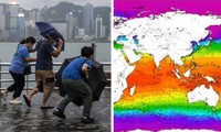 Mùa bão năm nay dự đoán sẽ dữ dội do nhiệt độ nước biển toàn cầu đang cao kỷ lục