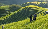 Báo nước ngoài nêu 9 nơi có cảnh đẹp nhất ở Việt Nam, nhất định nên ghé thăm