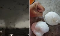 “Siêu lốc xoáy” xảy ra ở Quảng Châu (Trung Quốc), sức tàn phá khó tưởng tượng