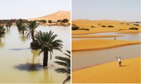 Sa mạc Sahara bất ngờ ngập lụt vì mưa dông, hồ cạn khô 50 năm giờ đầy nước