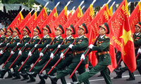 Cơ cấu tổ chức của Lục quân Quân đội Nhân dân Việt Nam