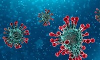 Tổng số ca tử vong ở Trung Quốc do virus corona đã tăng lên 212 người. Ảnh: Tribune News)