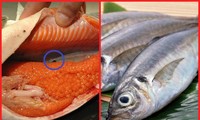 Những bộ phận của cá chứa đầy vi khuẩn, cố tình ăn có thể gây ung thư