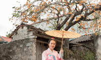Giới trẻ check-in bên cây hồng gần 200 tuổi ở Ninh Bình đẹp mê mẩn ngỡ như xứ Hàn