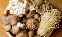 Những lưu ý ‘sống còn’ khi ăn nấm, nhớ cho kỹ kẻo ngộ độc chết người