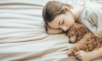Những sai lầm khi ngủ vào mùa đông có thể khiến bạn đau đầu, khó thở, thậm chí đột tử