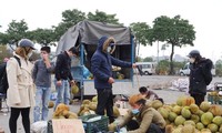 Nông sản tiếp tục &apos;gặp hạn&apos; đầu năm, thêm cửa khẩu tại Lào Cai dừng nhận xe chở trái cây 