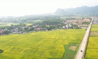 Đề xuất thu hồi loạt &apos;sổ đỏ&apos; liên quan đến đất nông nghiệp sai quy định ở Ninh Bình