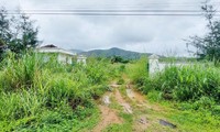 Quảng Ninh &apos;bêu tên&apos; các dự án ôm đất bỏ hoang gây bức xúc