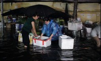 Hà Nội: Hoa quả trôi theo dòng nước sau mưa lớn, tiểu thương khóc ròng