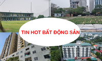 Kiểm tra ‘thủ phủ’ chung cư mini, đấu giá hai khu đất nghìn tỷ ở Hà Nội