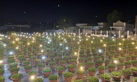 Nông dân Bà Rịa-Vũng Tàu xuyên đêm chong đèn &apos;thức&apos; cùng hoa Tết