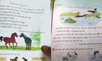 Sách Tiếng Việt 1 Cánh Diều dùng quá nhiều từ địa phương