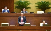 Quốc hội chất vấn Tổng Thanh tra Chính phủ Đoàn Hồng Phong 