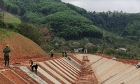 Đắk Lắk &apos;lách&apos; chuyển đổi đất rừng thuộc thẩm quyền Thủ tướng 