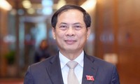 Lần đầu tiên chất vấn Bộ trưởng Bộ Ngoại giao Bùi Thanh Sơn