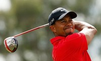 Tiger Woods không thi đấu mà sắm vai đội phó tư vấn chiến thuật cho các golfer Mỹ tại Presidents Cup 2017 