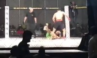 Võ sĩ MMA hạ knock-out đối thủ bằng cú đá vi diệu