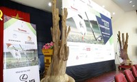 Đấu giá cây trầm hương quý hiếm tại Tiền Phong Golf Championship 2018