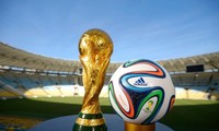 Hơn 80% cầu thủ phản đối đề xuất tổ chức World Cup 2 năm một lần