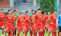 Thầy Park trao quyền HLV trưởng U23 Việt Nam cho &apos;cánh tay phải đắc lực&apos; Lee Young-Jin
