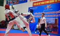 Taekwondo Việt Nam có thể cạnh tranh ASIAD, Olympic nhưng… hạ chỉ tiêu SEA Games 