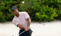 Tiger Woods tái xuất sau 8 tháng dưỡng thương