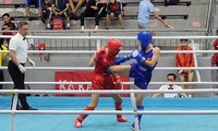 Bước đột phá mạnh mẽ của kickboxing Việt Nam