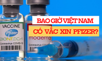 97 nghìn liều vắc xin Pfizer đầu tiên về Việt Nam
