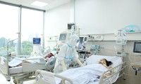 Sở Y tế TPHCM yêu cầu bệnh viện không vì thủ tục hành chính mà chậm trễ cứu người