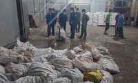 Cơ quan chức năng tỉnh Bắc Ninh phát hiện hơn 7 tấn lòng lợn bốc mùi hôi thối