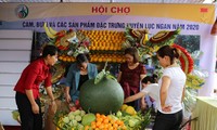 Hội chợ cam, bưởi huyện Lục Ngạn, Bắc Giang