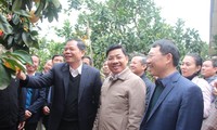 Bộ trưởng Nguyễn Xuân Cường (ngoài cùng bên trái) cùng với Bí thư Tỉnh ủy Bắc Giang Dương Văn Thái và Chủ tịch UBND tỉnh Bắc Giang Lê Ánh Dương thăm vườn bưởi ở huyện Lục Ngạn