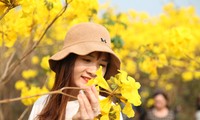 Vườn hoa Phong Linh đẹp như trời Âu ở Bắc Giang