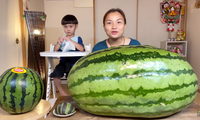 Quỳnh Trần JP - YouTuber Việt Nam đầu tiên ăn quả dưa hấu khổng lồ nặng tới 56kg