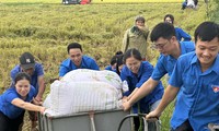 Tuổi trẻ Thái Bình, Hà Tĩnh hỗ trợ người dân để đảm bảo hành lang tuyến dự án 500kV mạch 3