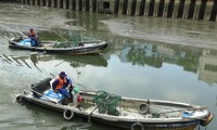 Cá lại chết nổi trắng kênh Nhiêu Lộc - Thị Nghè sau mưa 