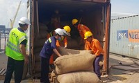 Container chứa hơn 6 tấn vảy tê tê nhập lậ.