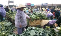 Tiểu thương tại chợ truyền thống hét giá rau xanh vì trời rét ảnh: Ngọc Mai