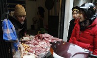 Giá thịt lợn cao, người dân rủ nhau mua gom lợn quê