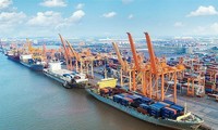Hải Phòng giảm 50% phí hạ tầng cảng biển từ 1/1/2023