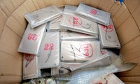Vùi 370 chiếc iPhone dưới thùng cá để buôn lậu