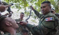 Lính Mỹ uống máu rắn, ăn bọ cạp sống ở Thái Lan
