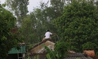 Người dân Hà Tĩnh chằng chống, gia cố nhà cửa trước cơn bão số 10. Ảnh: Minh Thùy