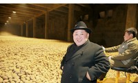 Giữa lúc căng thẳng, Chủ tịch Triều Tiên thăm nhà máy chế biến khoai tây