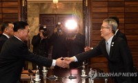 Trưởng phái đoàn Triều Tiên Kwon Hyok-bong (trái) bắt tay trưởng phái đoàn Hàn Quốc Lee Woo-sung (phải) trong cuộc đàm phán cấp chuyên viên sáng 15/1. Ảnh: Yonhap