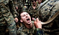 Lính Mỹ uống máu rắn hổ mang, ăn bọ cạp sống ở Thái Lan