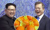 Được tặng 2 tấn nấm, Hàn Quốc ‘đáp lễ’ Triều Tiên bằng 200 tấn quýt